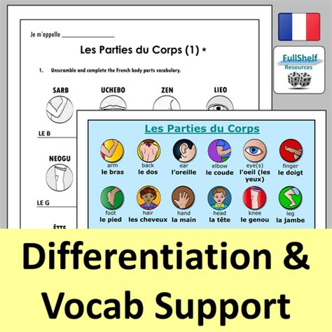 French Body Parts Worksheets | Teaching Resources