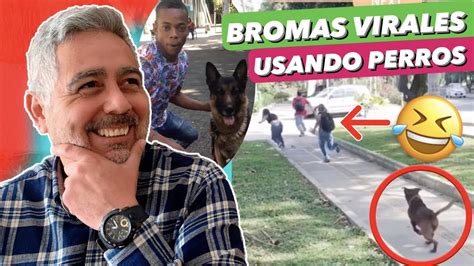 ¡que Viene El Perro 🆘 Bromas Virales De Internet Ahora Con Perros 🐶 Youtube