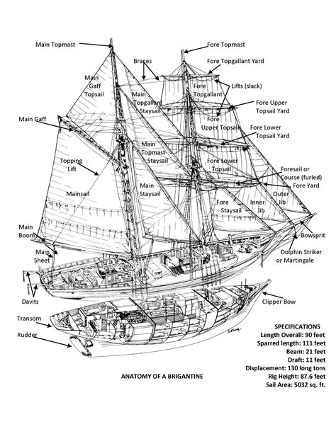 Ship Anatomy