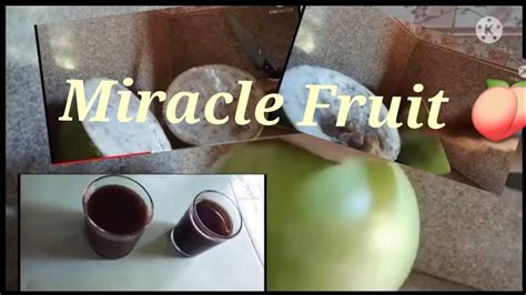 Preparing Miracle Fruit Juice Youtube