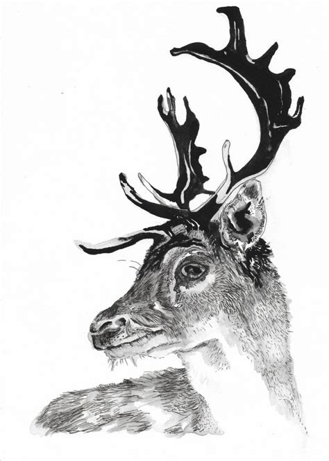 Stag Illustration Original In The Forest By Charlotterighton On Etsy