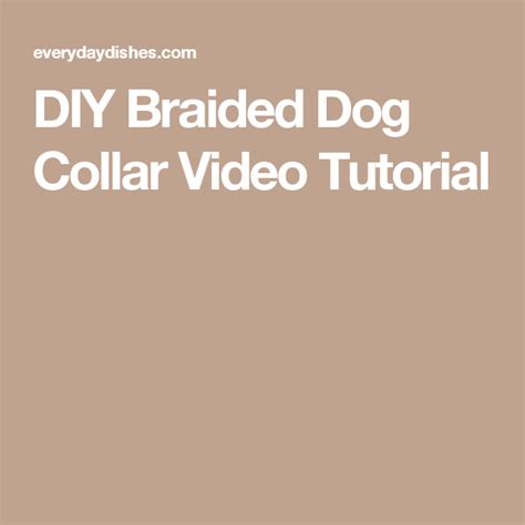 Diy Braided Dog Collar Video Recipe Diy Braids Dog Collar Braids