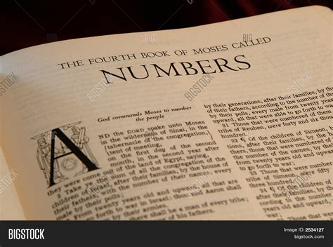 Book Of Numbers In The Bible Meaning Meaning Of The Number 70 In The