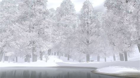 1920x1080 1920x1080 Trees Forest Snow Wolves Winter Lake