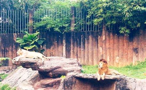 Koleksi gambar gratis dari fotografer ceko martin vorel. Melawat Zoo Melaka | Percutian Bajet