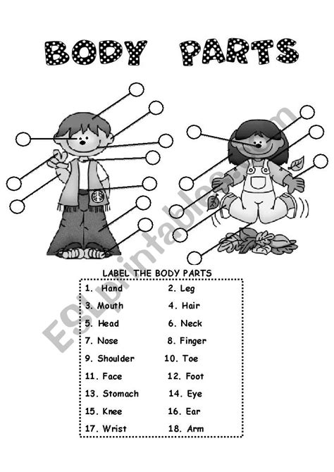Parts Of The Body Esl Worksheet By Judit84 English Teaching