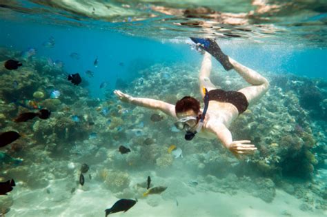Snorkeling In Costa Rica What Are The Best Places In 2020