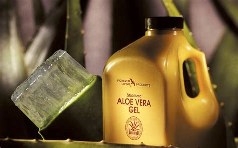 Descubre sus ingredientes y alternativas. Forever Aloe Vera Gel México - Productos Forever Living Mexico