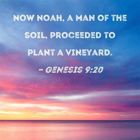 Genesis 920 Now Noah A Man Of The Soil Proceeded To Plant A Vineyard