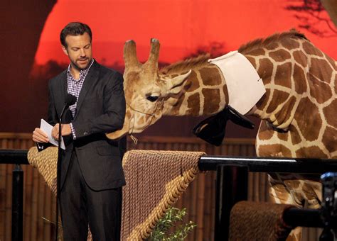 He has acted in movies, such as 'horrible bosses,' 'we're the millers,' and he has appeared in some of the most popular tv shows. Saturday: Jason Sudeikis - The Week In Pictures: June 14 ...