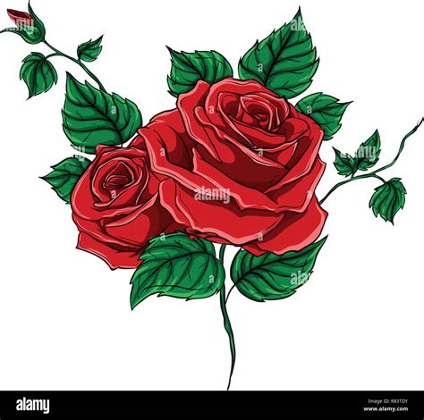 Vector Illustration Beautiful Bouquet With Red Roses And Leaves Floral