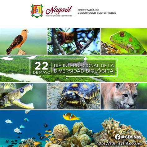 DÍa Internacional De La Diversidad BiolÓgica Secretaría De Desarrollo