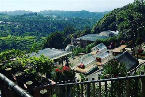 Mulai dari kebudayaannya, penghuninya, kulinernya, tata ruang hingga wisatanya. Kampoeng Tulip - Harga Tiket Masuk & Spot Foto Terbaru 2021