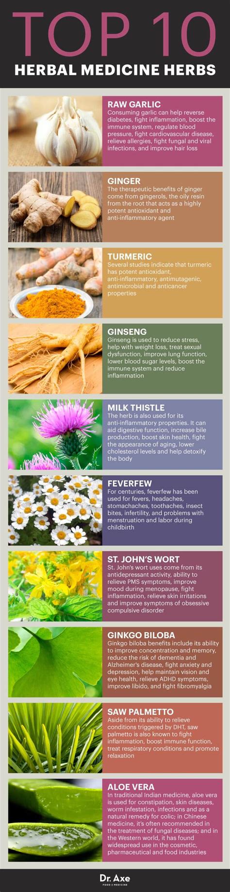 Top Ten Medicinal Herbs Infographic Survival Stronghold