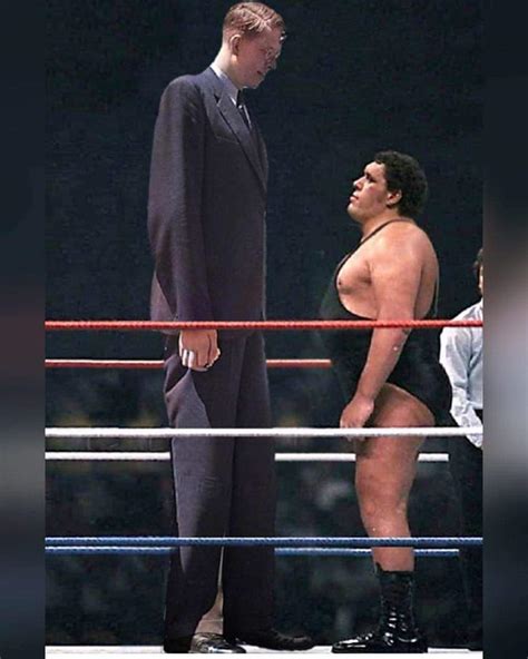 A Comparison Of Wrestling Legend WWE Hall Of Famer Andre The Giant And