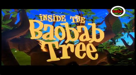 inside the baobab tree sabc education