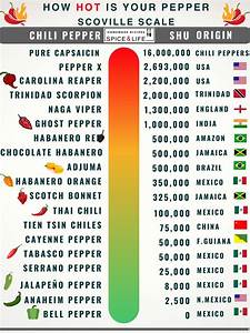 The Scoville Scale A Comprehensive Guide Spice And Life