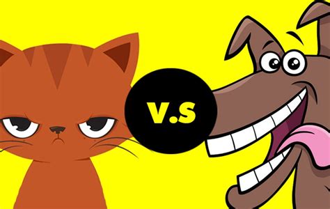 Dog Vs Cat Debate Which Is Better Persuasive Paragraphs Debating