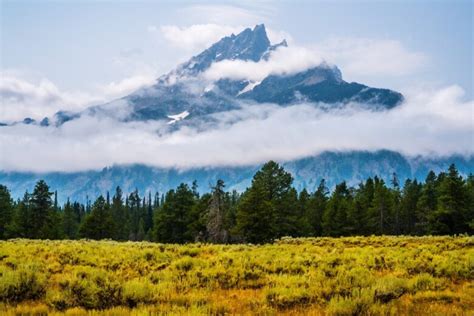 D Nde Alojarse En Yellowstone National Park Wyoming Mejores Zonas