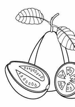 Drinks coloring pages color book. Guava Juice Logo Coloring Pages Coloring Pages