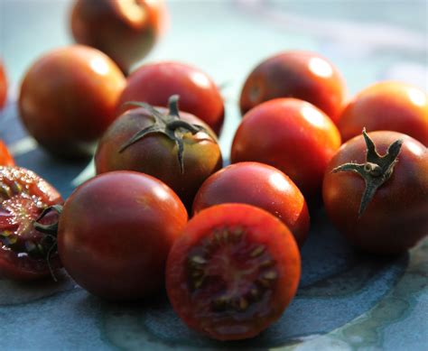 Tomato Troubleshooting San Diego Homegarden Lifestyles