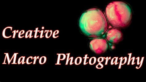 Creative Macro Photography Youtube
