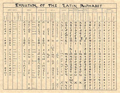 Biotay Evolución Del Alfabeto Latino