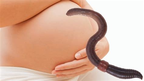 Worm Gets Woman Pregnant Youtube