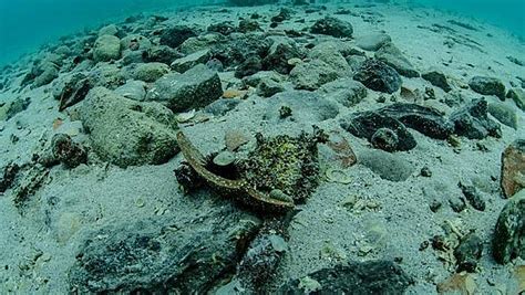 800 Year Old Shipwreck Discovered Off Salento Coast Italy Ancient Pages