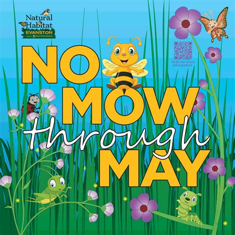 No Mow May Sign Order Natural Habitat Evanston