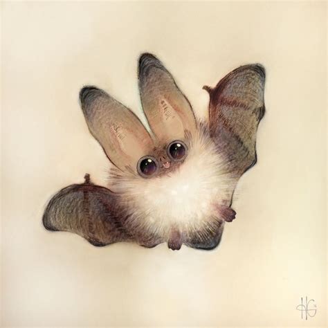 Bat Art Print Popular Art Prints Drawings Cute Art Cute Bat