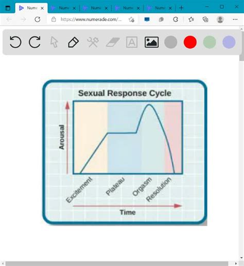 Solved During The Phase Of The Sexual Response Cycle Individuals