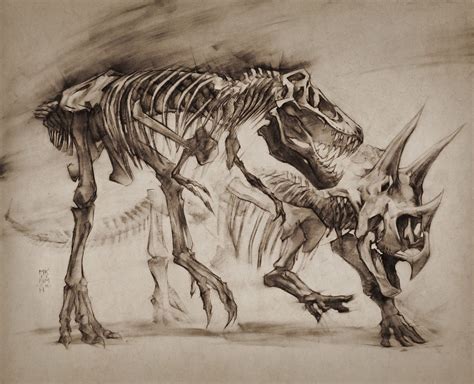 T Rex Vs Triceratops Study Lanhm 2015 By Minohkim On Deviantart