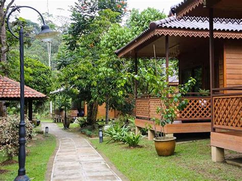 While staying in janda baik, you can check out a popular chinese restaurant like purple cane tea restaurant, which is serving up some. 7: Suara Rimba Hulu Langat Chalet