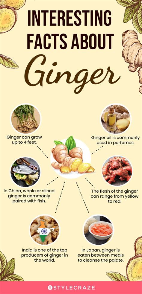 Benefits Of Ginger How To Take It Nutrition Guidelines