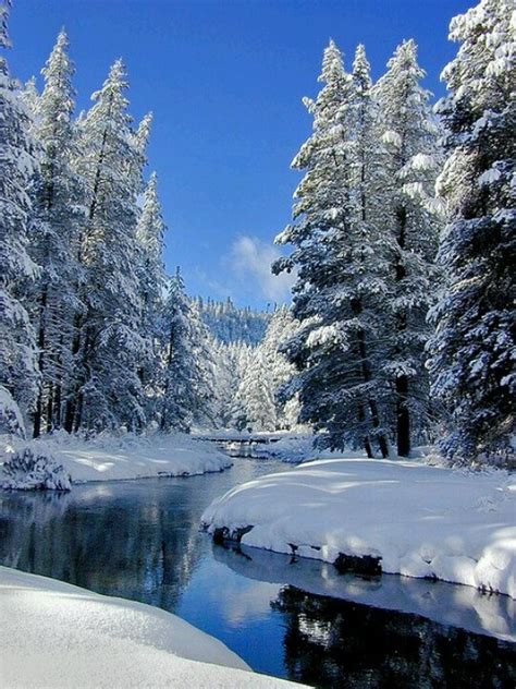 Paisaje Invernal Winter Landscape Winter Scenery Winter Scenes