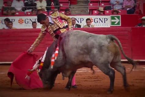 Matador Gored 30cm Deep In The Bum By Bull In Shocking Footage