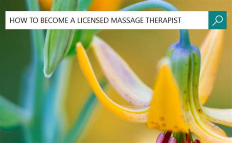 How To Become A Licensed Massage Therapist Discoverypoint School Of Massageseattlewa