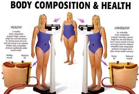 Exercise Program For Toning Exercise Body Composition