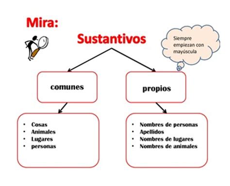 Sustantivos Comunes Y Propios Spanish Reading Comprehension Grammar