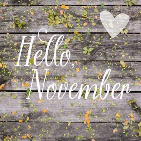 Quotes about sweet november top 1 sweet november quotes. Hello November Pictures, Photos, and Images for Facebook, Tumblr, Pinterest, and Twitter
