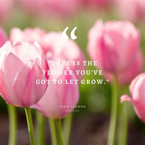 Discover the Beauty of Flower Quotes