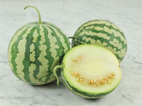 Colorado Preserving Or Red Seeded Citron Watermelon Baker Creek