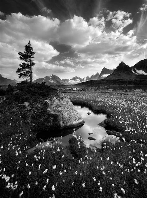 Black And White Nature Photography Portfolio 1 Grand