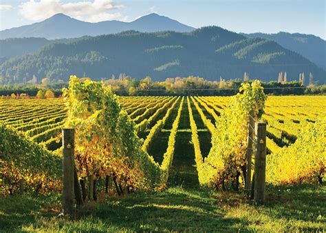 A Guide To New Zealands Wine Country Goway