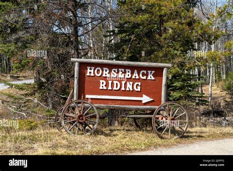 Horseback Riding Jasper Riding Stables On Pyramid Lake Road Alberta