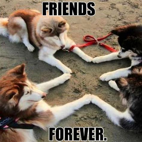 Best Funny Friend Memes To Celebrate Best Friends In Our Lives Funny