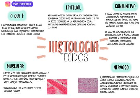 Histologia Tecidos Vestmapamental