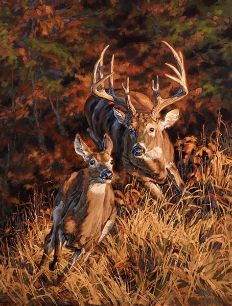 This animal mostly eat plant. Ryan Kirby Art — Original White-tailed Deer Painting "Turn ...