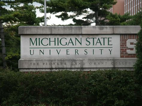 Filemichigan State University Sign